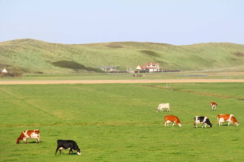 Urlaub am meer Callantsoog